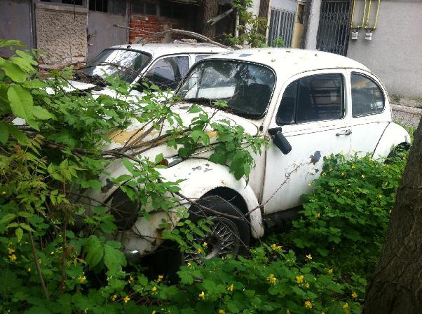 Volkswagen Beetle - Bucuresti