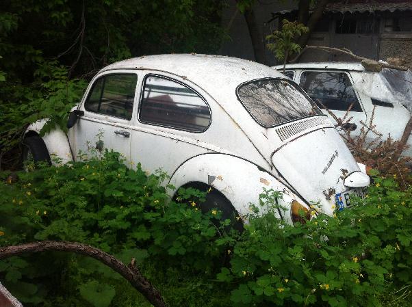 Volkswagen Beetle - Bucuresti