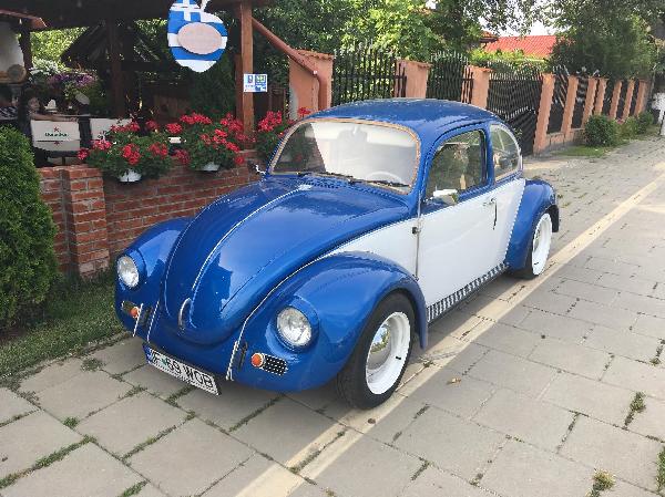 Volkswagen Beetle - Ciofliceni (Ilfov)