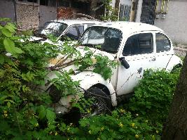 Volkswagen Beetle - Bucuresti  (Bucuresti)