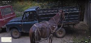 ARO 320 - Muntele Rece (Cluj)