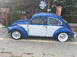 Volkswagen Beetle - Ciofliceni  (Ilfov)