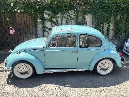 Volkswagen Beetle - Bucuresti  (Bucuresti)