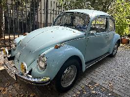 Volkswagen Beetle - Bucuresti  (Bucuresti)