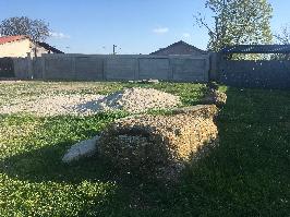 Fosta moară din Seaca - Olt (154)