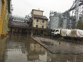 Moara din Fierbinți Târg - Ialomița (52)