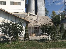 Moara din Vedea - Argeș (157)
