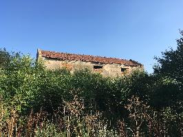 Moara Potârnichea - Constanța (27)